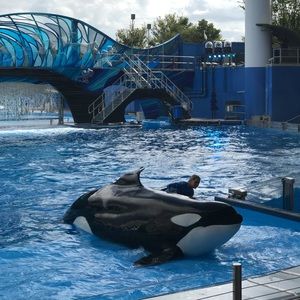 Meet your Posher, Alejandra